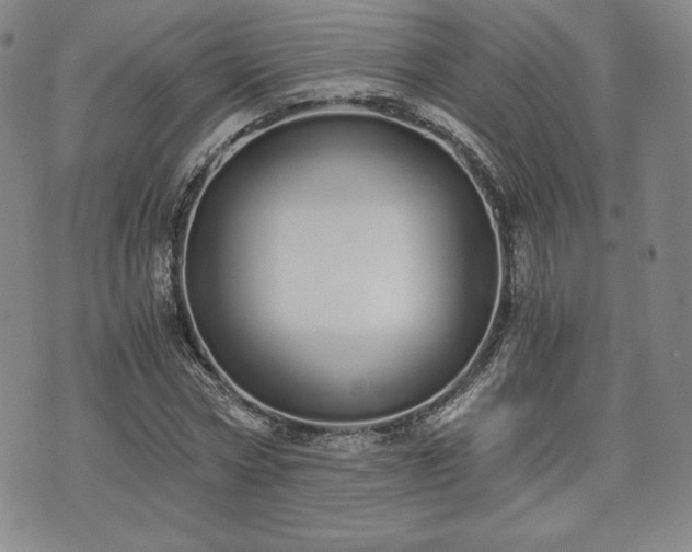 X0000073450778200608041026