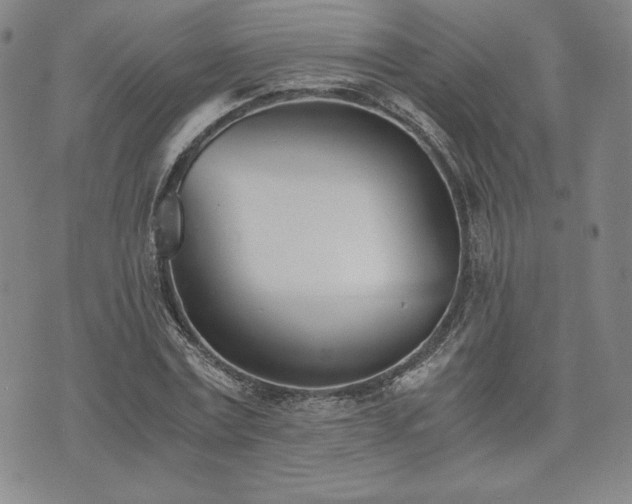 X0000073450779200608041026