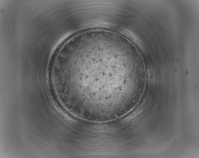 X0000073450780200608041026