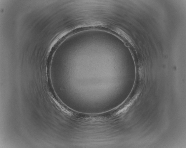 X0000073450781200608041026