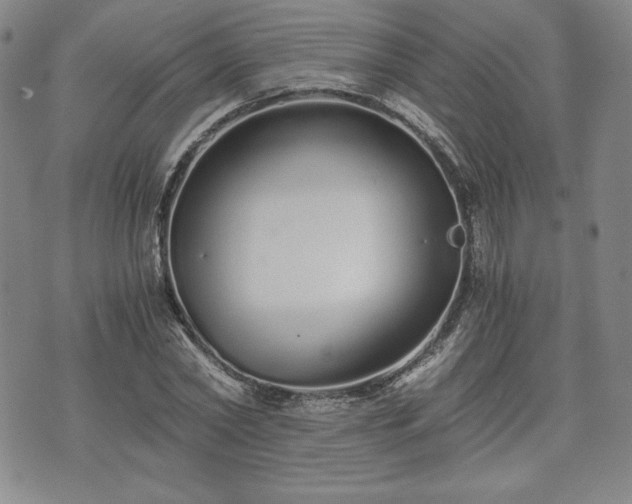 X0000073450782200608041026