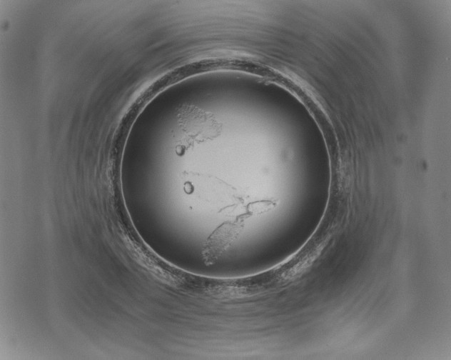 X0000073450783200608041026