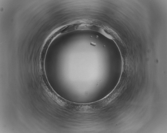 X0000073450784200608041026