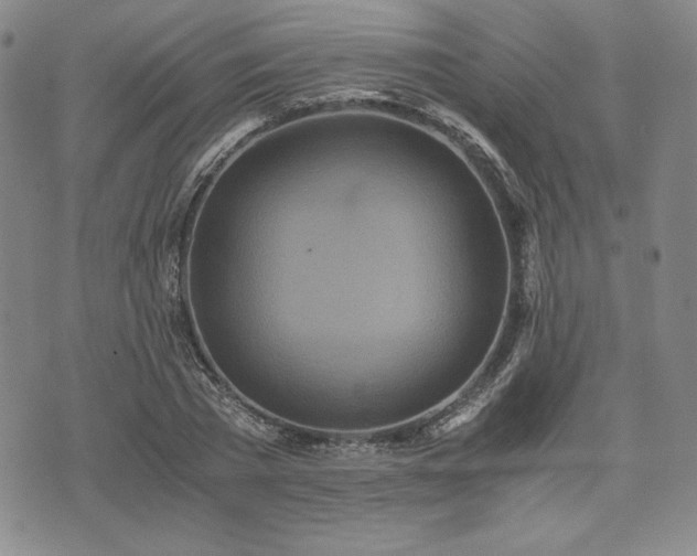 X0000073450785200608041026