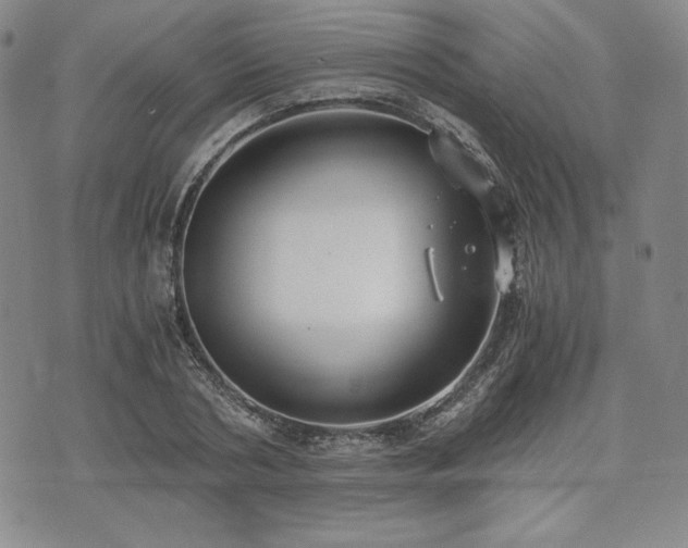 X0000073450786200608041026