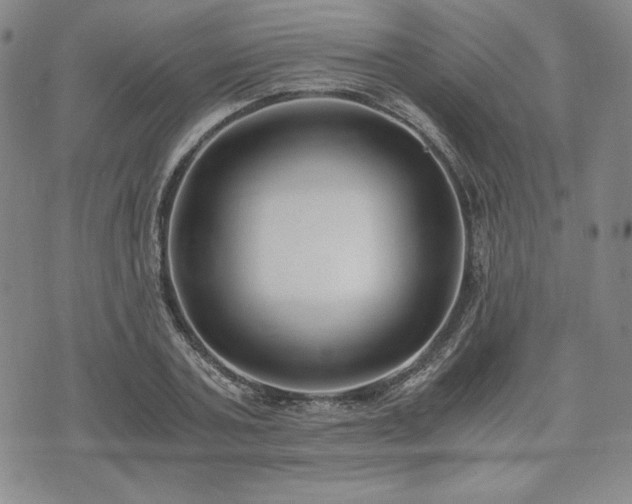 X0000073450787200608041026