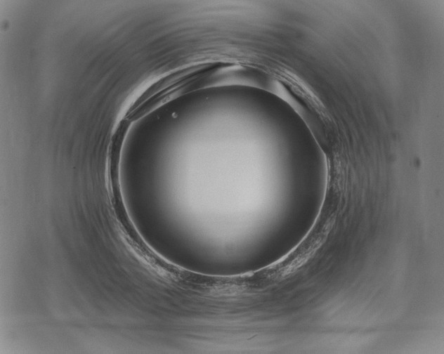 X0000073450788200608041026