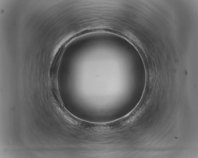 X0000073450789200608041026