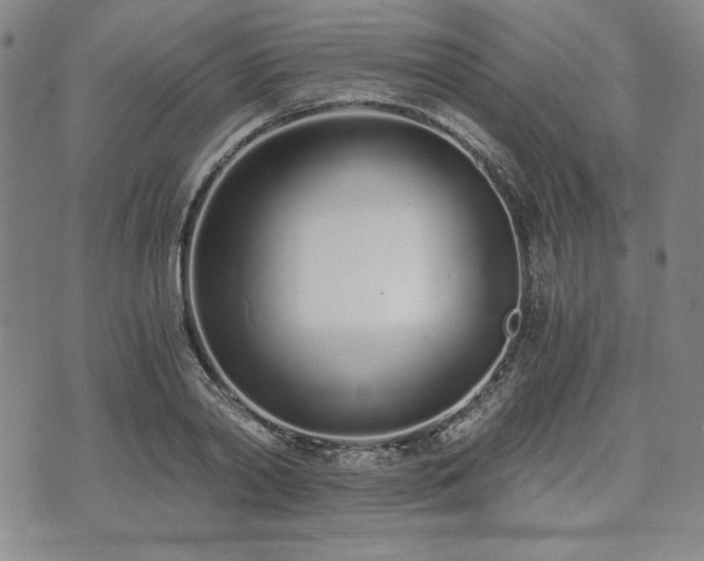 X0000073450790200608041026