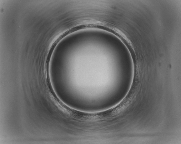 X0000073450791200608041026