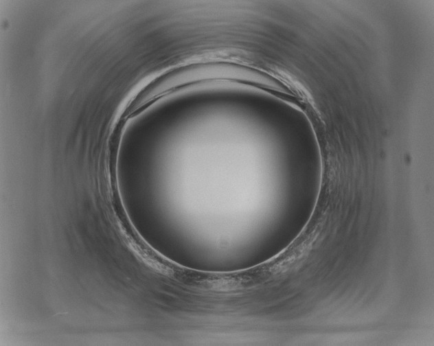 X0000073450792200608041026