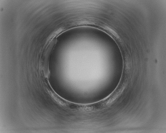 X0000073450793200608041026