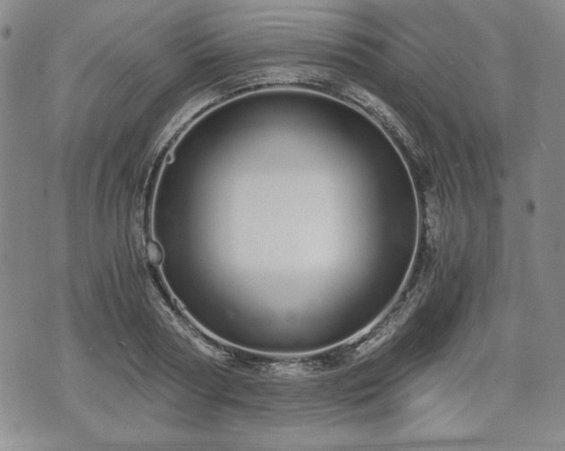 X0000073450794200608041026