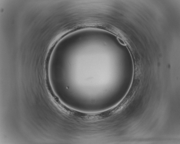 X0000073450795200608041026