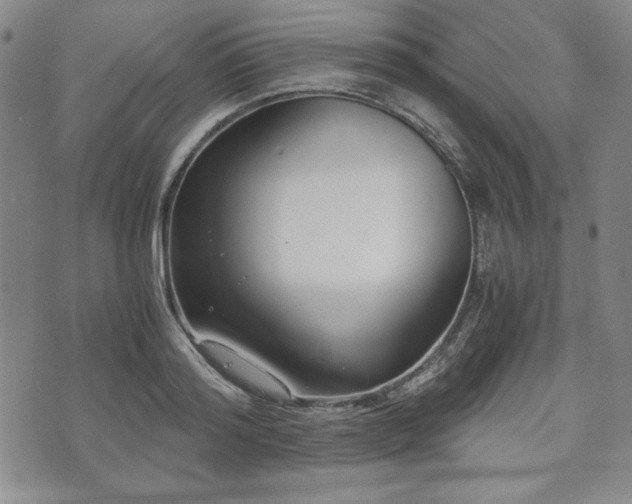 X0000073450796200608041026