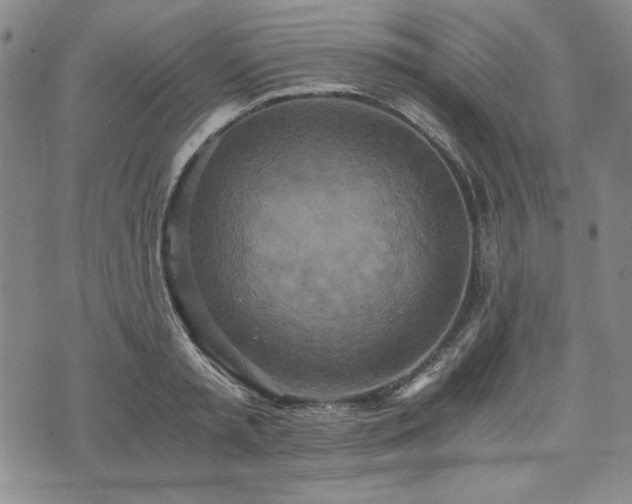 X0000073450797200608041026