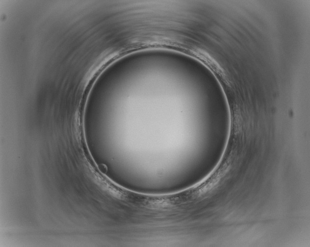 X0000073450798200608041026