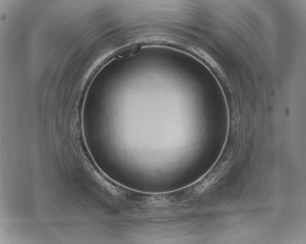 X0000073450799200608041026