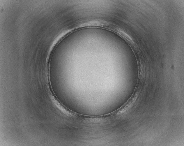 X0000073450800200608041026