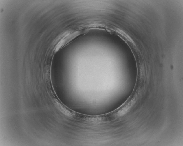 X0000073450801200608041026