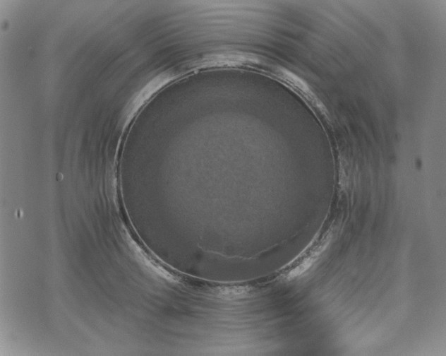 X0000073450802200608041026