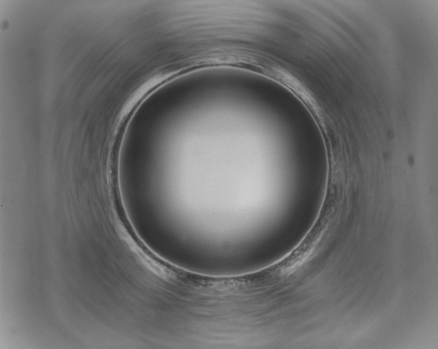 X0000073450803200608041026