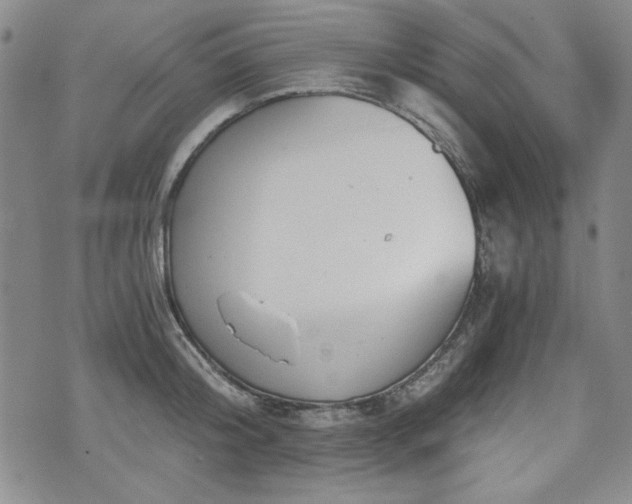 X0000073450804200608041026