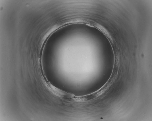 X0000073450805200608041026