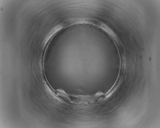 X0000073450806200608041026