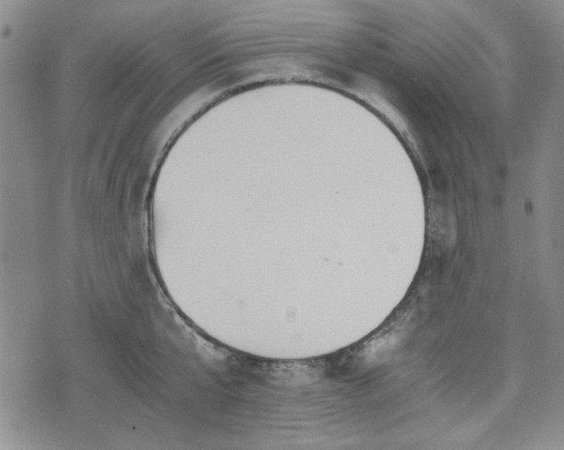 X0000073450807200608041026