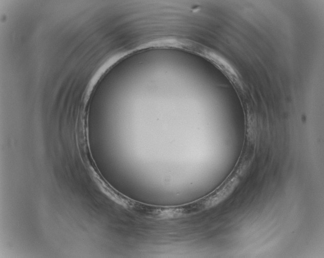 X0000073450808200608041026