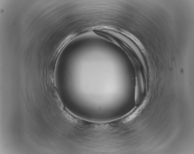 X0000073450809200608041026