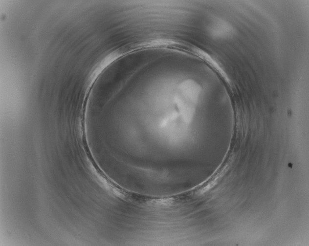 X0000073450810200608041026