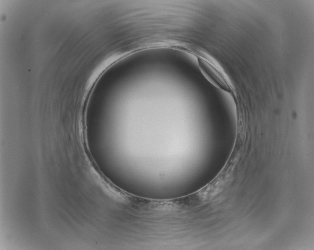 X0000073450811200608041026