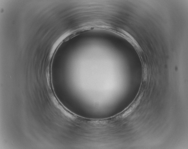 X0000073450812200608041026