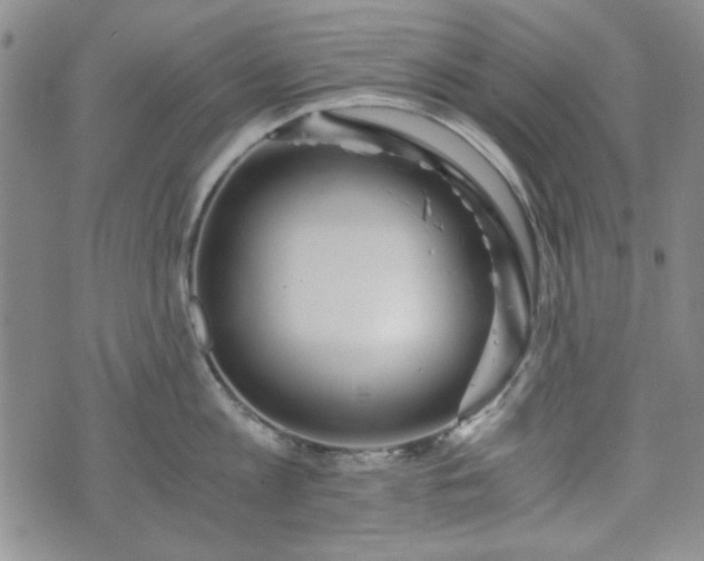 X0000073450813200608041026