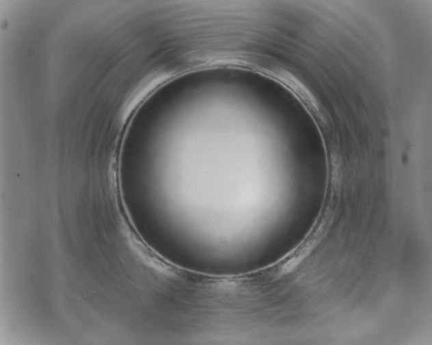 X0000073450814200608041026