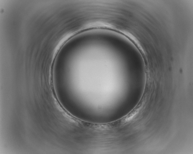 X0000073450815200608041026