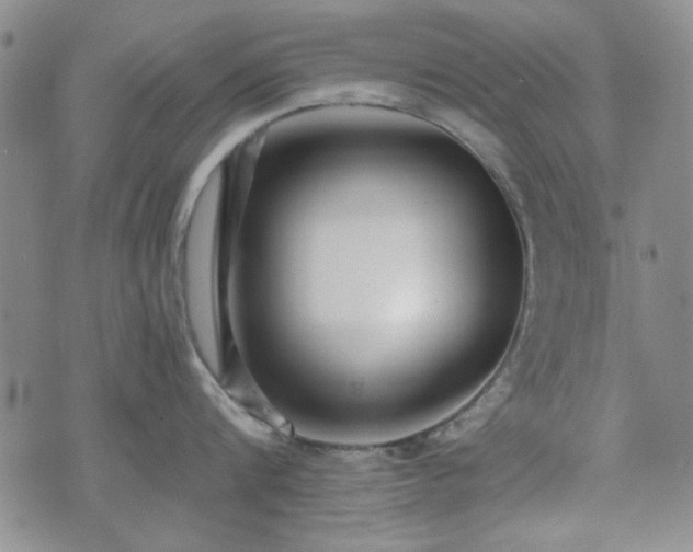 X0000073450816200608041026