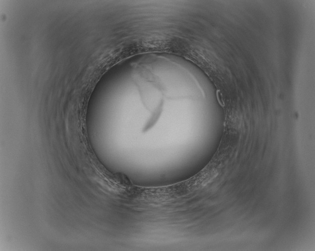 X0000073450817200608041025