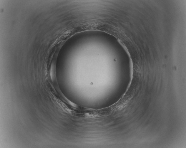 X0000073450818200608041025