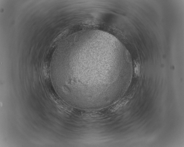 X0000073450819200608041025