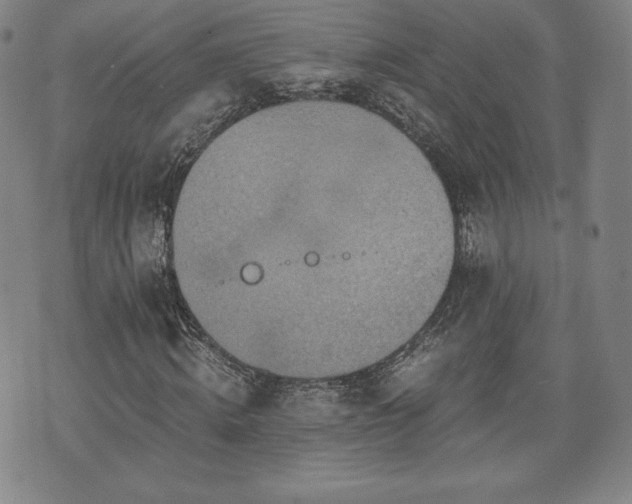 X0000073450820200608041025