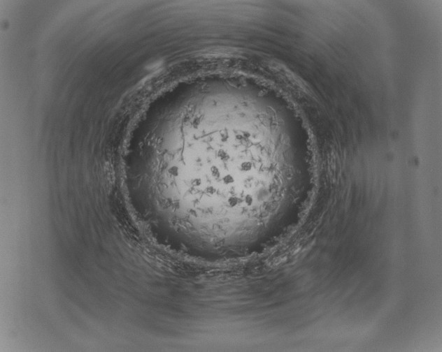 X0000073450821200608041025