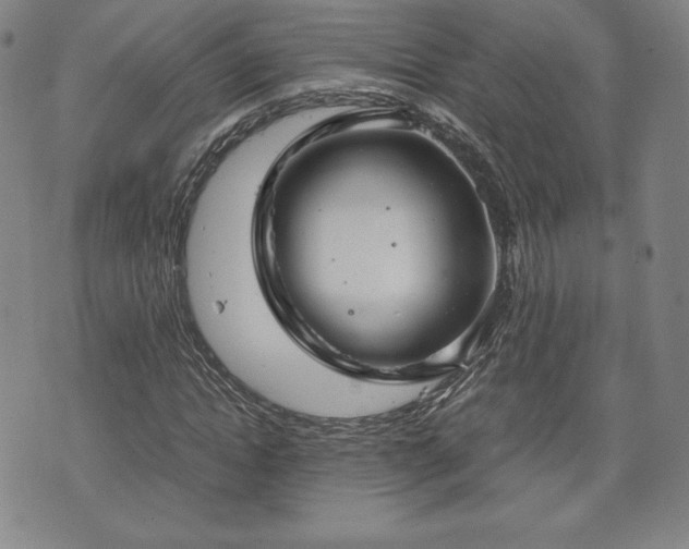 X0000073450822200608041025