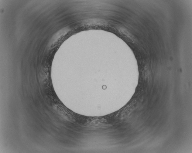 X0000073450824200608041025