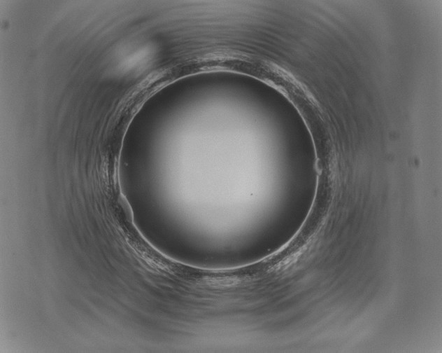 X0000073450825200608041025