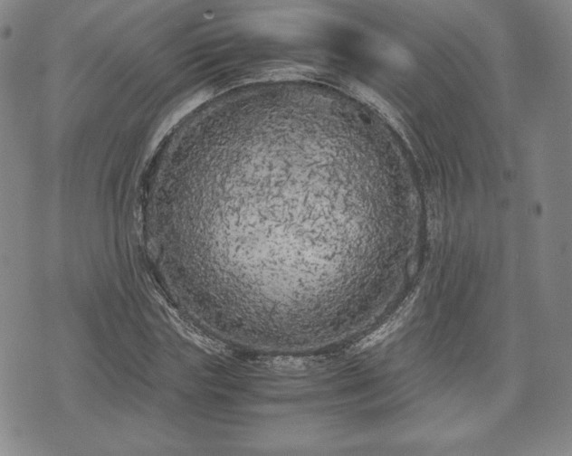 X0000073450827200608041025