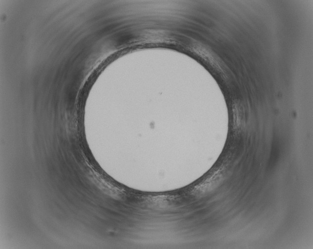 X0000073450828200608041025