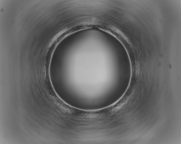 X0000073450829200608041025